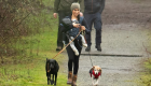 ميجان ماركل سعيدة أثناء نزهة مع نجلها وكلبيها في كندا