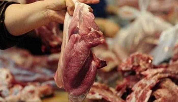 إنفلونزا الخنازير الأفريقية لا تمثل خطورة على صحة البشر - أرشيفية