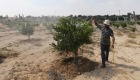 ألفا دونم زراعي في غزة تتضرر من رش مبيدات إسرائيلية سامة