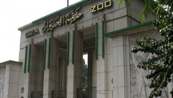 حديقة الحيوان بالجيزة في مصر