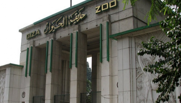 حديقة الحيوان بالجيزة في مصر