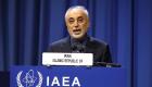 وزارت خزانه‌داری آمریکا سازمان انرژی اتمی ایران و رئیس آن را تحریم کرد 