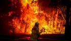 طوارئ في أستراليا لحماية العاصمة من حرائق الغابات