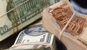  استقرار سعر الدولار في مصر 