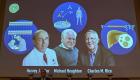 Nobel décerné aux trois chercheurs pour avoir découvert le virus de l'hépatite C