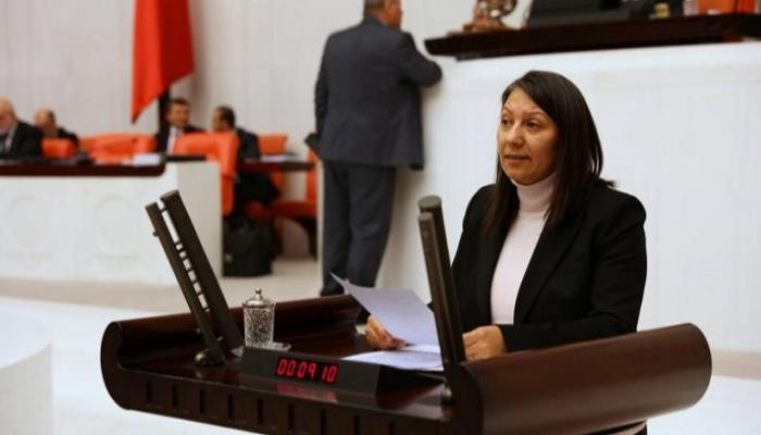 النائبة التركية المعارضة ديلشات جنباز قايا - أرشيفية