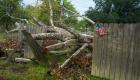 إعلان الطوارئ في ميسيسبي الأمريكية بسبب إعصار "دلتا"