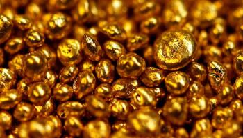 الانتخابات الأمريكية تحدد مصير الذهب