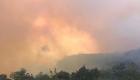 Muğla’da yangın: 6 ahşap ev ile 2 dönüm ormanlık alan zarar gördü