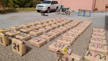 لفافات مخدر الحشيش المعدة للتهريب 