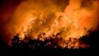 Türkiye yandı: 9 ayda 2 bin 792 orman yangını çıktı