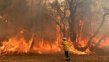حرائق الغابات في أستراليا