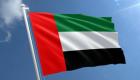 يوم العلم الإماراتي.. 11 قيمة وطنية للاحتفال برمز الدولة