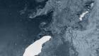 Atlantique Sud : Un iceberg géant menace des colonies de manchots