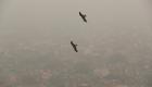 بالصور.. تلوث "حاد" يخنق العاصمة الهندية لليوم الثالث