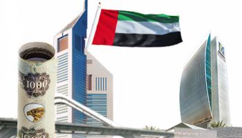 وزارة المالية الإماراتية تعلن عن نظام الإخطارات وإيداع التقارير