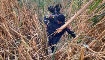 عناصر أمنية تداهم مواقع لتنظيم داعش الإرهابي