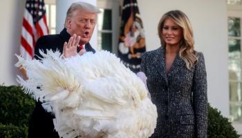 ترامب يعفو عن ديك رومي