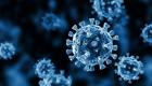France/Coronavirus : 13.563 nouveaux cas en 24 heures, 340 décès 
