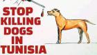 استياء حقوقي من حملة لقتل الكلاب الضالة في تونس