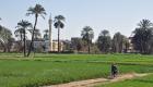 تقنية جديدة تسمح بري الأرض عبر الموبايل في مصر