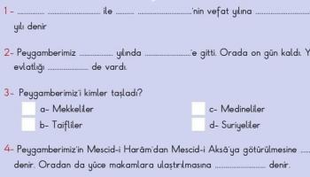 صورة من الامتحان التركي المسيء للسوريين