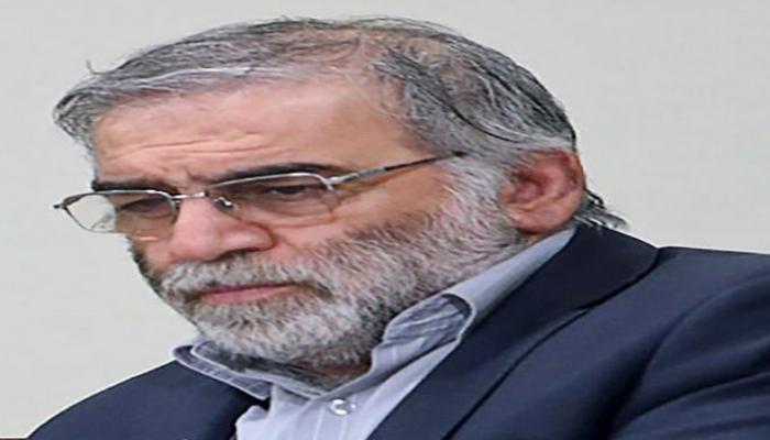 محسن فخري زاده مهابادي