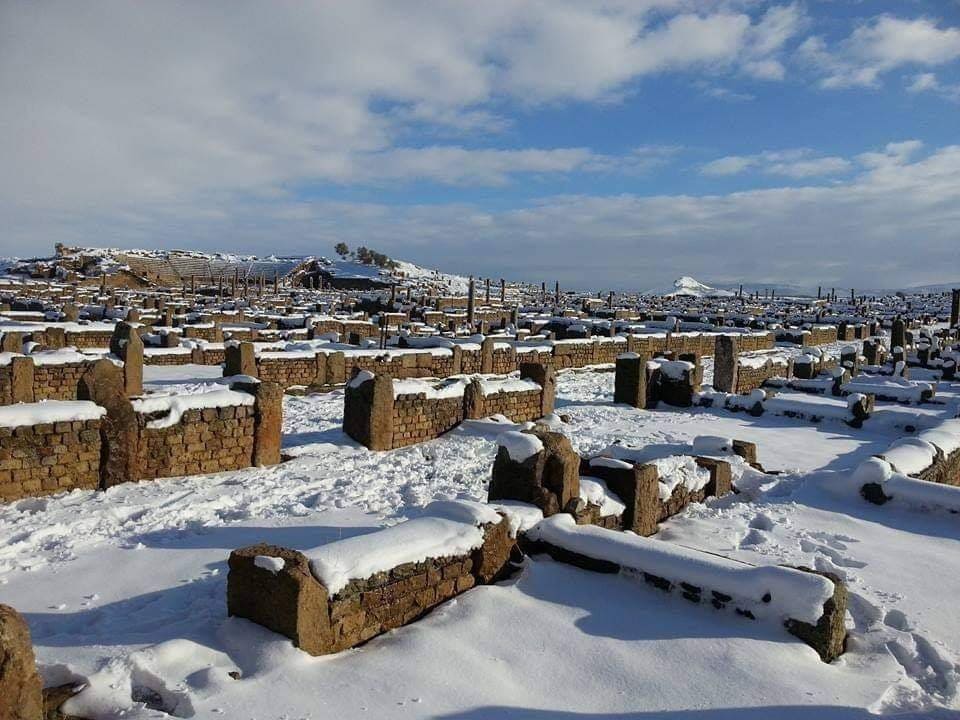 بالصور الثلوج تزين الجزائر وتمتزج برمال صحرائها