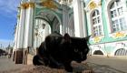3 آلاف يورو "تركة" لأشهر قطط روسيا
