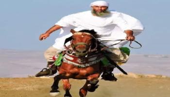 الفارس الجزائري على جواده