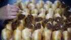 Israël: Files d'attente devant une boulangerie à Jérusalem pour acheter le "Beignet d'Abou Dhabi"