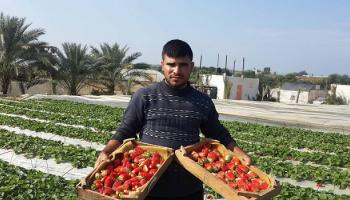 مياه الأمطار غمرت مئات الدونمات بغزة