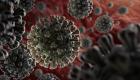 حل لغز التشخيص الخاطئ للإصابة بكورونا.. علماء يكشفون "خداع" الفيروس