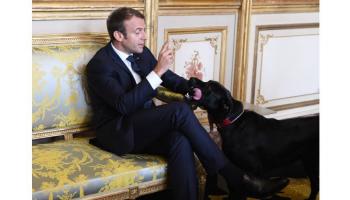 إيمانويل ماكرون وكلبه 
