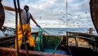Accord post-Brexit : les changements pour les pêcheurs français dans les eaux britanniques