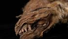 تصاویر و ویدئو| کشف «یک موجود ترسناک» با قدمت ۵۷ هزار سال 