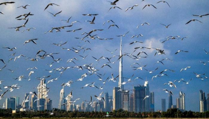 العين الإخبارية ترصد حلول علمية مستوحاة من الطبيعة