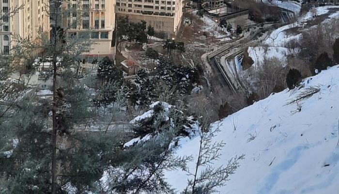 تقع طهران عند سفح سلسلة جبال ألبرز التي بها عدد من منتجعات التزلج