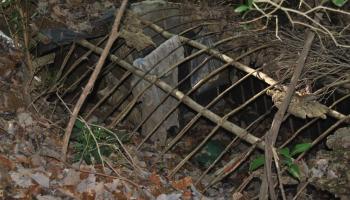 أحد مـخابئ الإرهابيين التي دمرها الجيش الجزائري