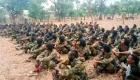12 مسلحا بجماعة "أونق شني" في قبضة الأمن الإثيوبي