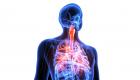 إنفوجراف.. 9 خطوات للوقاية من أمراض الجهاز التنفسي في الشتاء