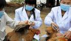 Çin'de Corona Virüsü Ardından Kuş Gribi Başladı