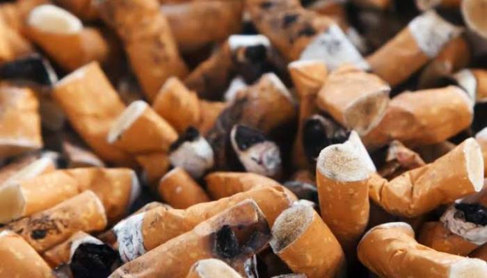 يزداد خطر أعقاب السجائر في الطقس الدافئ