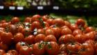 France: le « tomato brown rugose fruit virus » menace les tomates 