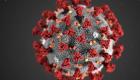 Les Etats-Unis annoncent le développement d'un traitement contre le coronavirus