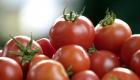 France: les autorités mettent des plans de surveillance contre le virus de la tomate