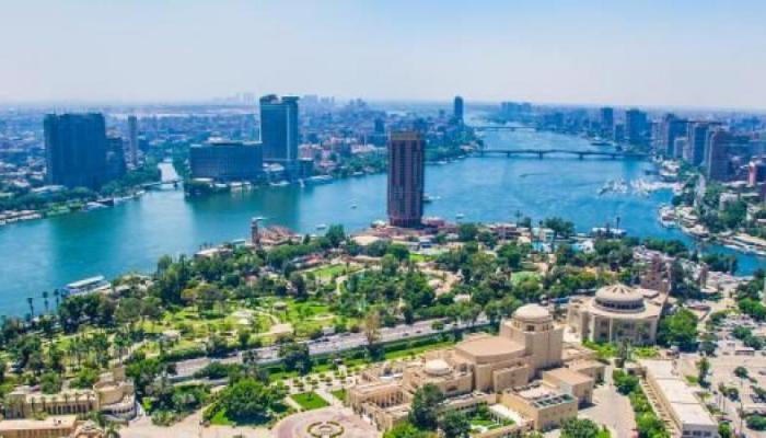 مصر تتخذ إجراءات احترازية لمنع الجراد من التسلل إلى أراضيها - أرشيفية