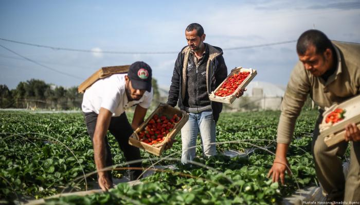 إسرائيل تواصل خنق اقتصاد فلسطين