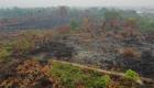 Brésil: La déforestation est élevée en janvier