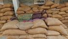 भारत: बासमती एक्सपोर्ट गिरा, कुल चावल निर्यात में 36.5 फीसदी गिरावट